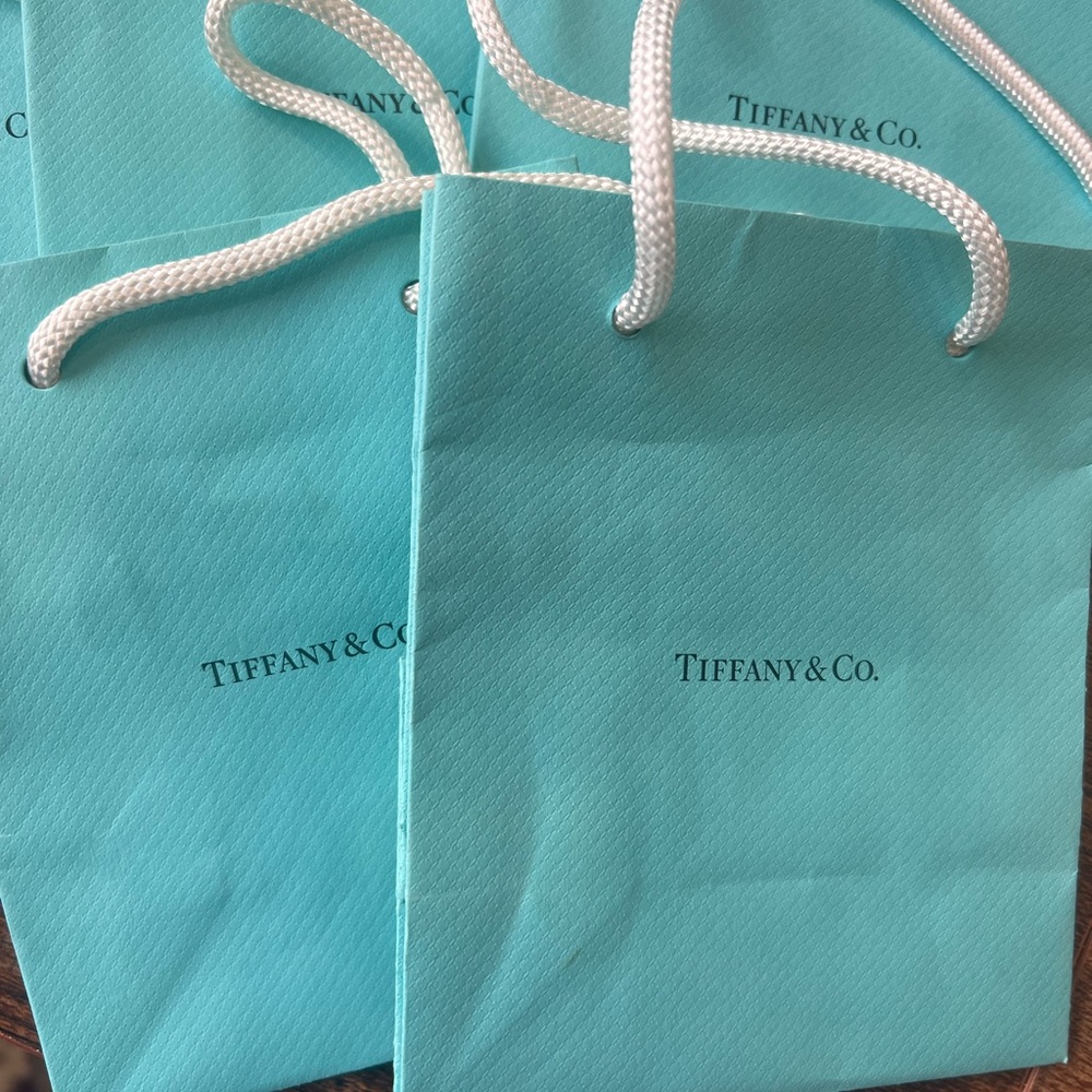 5 Tiffany & Co. Gift Bags with White Rope Handles - - Picture 5 of 5